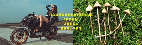наркотики Алексеевка