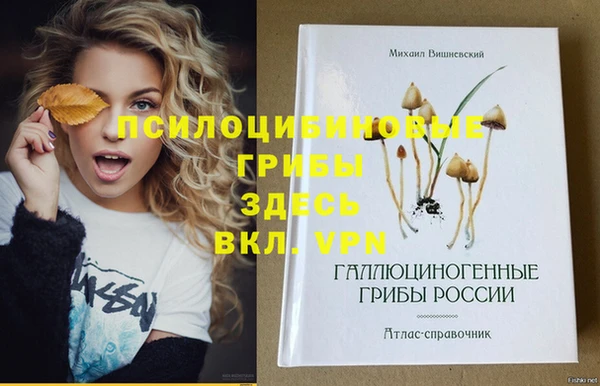 наркотики Алексеевка