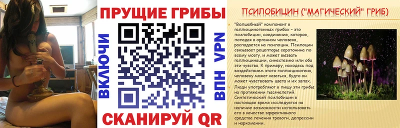 Псилоцибиновые грибы прущие грибы  ссылка на мегу онион  Медынь 